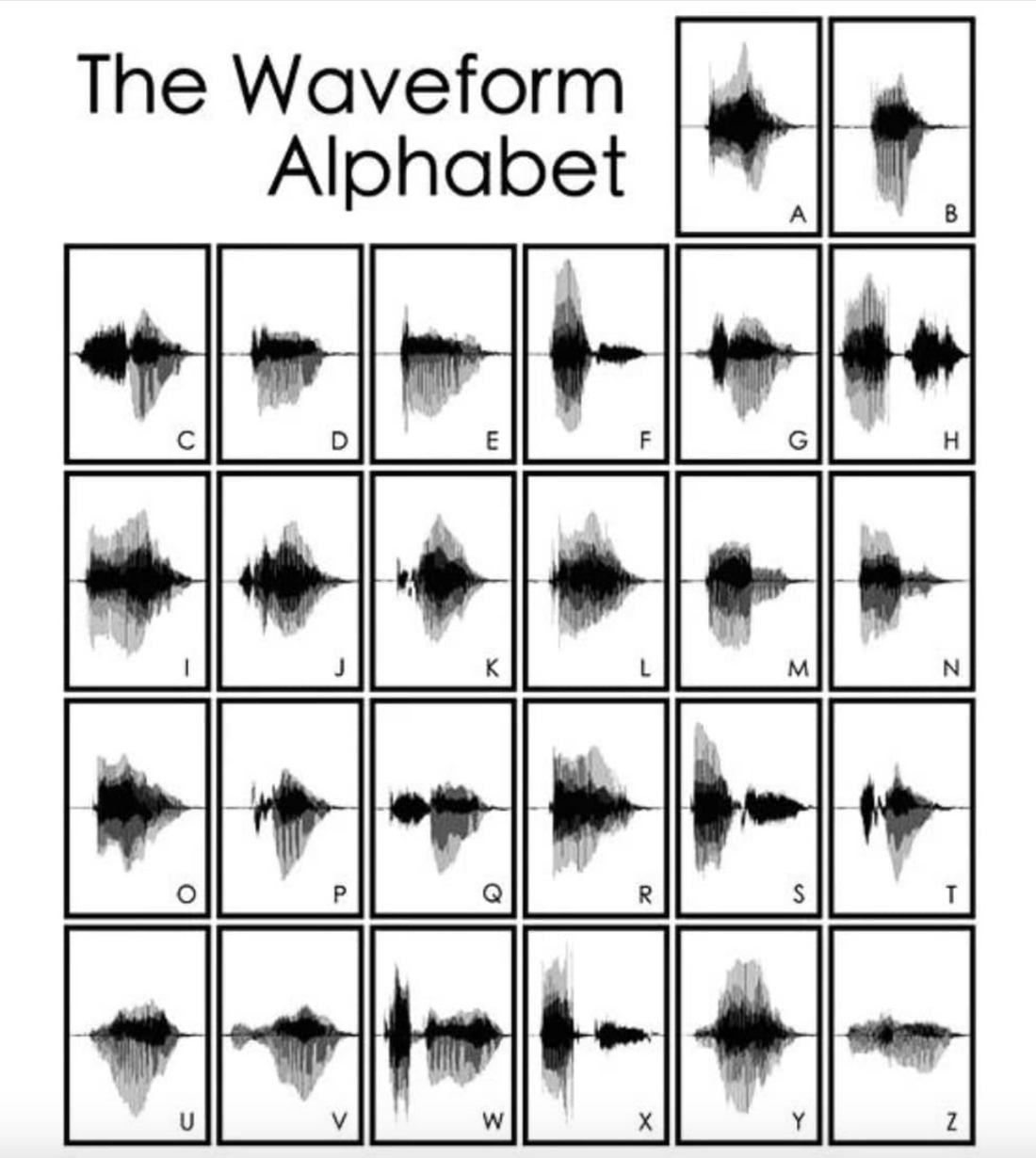 NAGRA RECORDINGS AND SONOGRAPH INTERPRETATION, EEH MY LITTLE ZEBRA