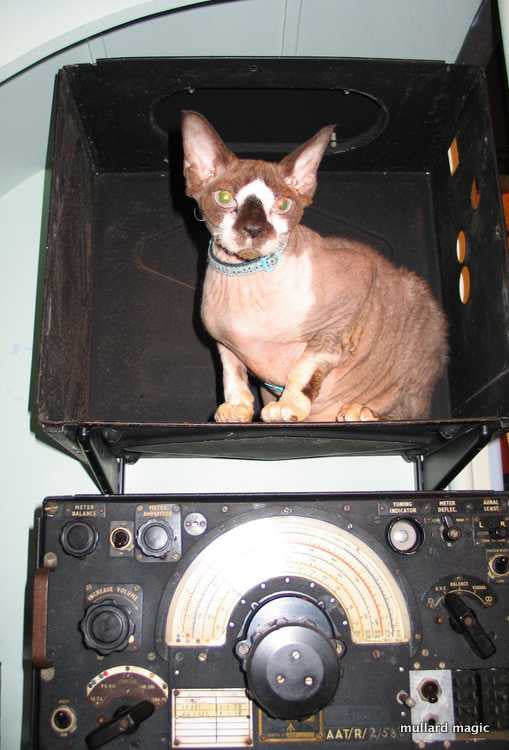 MULLARD MAGIC'S PART IN THE DAMBUSTERS REMAKE