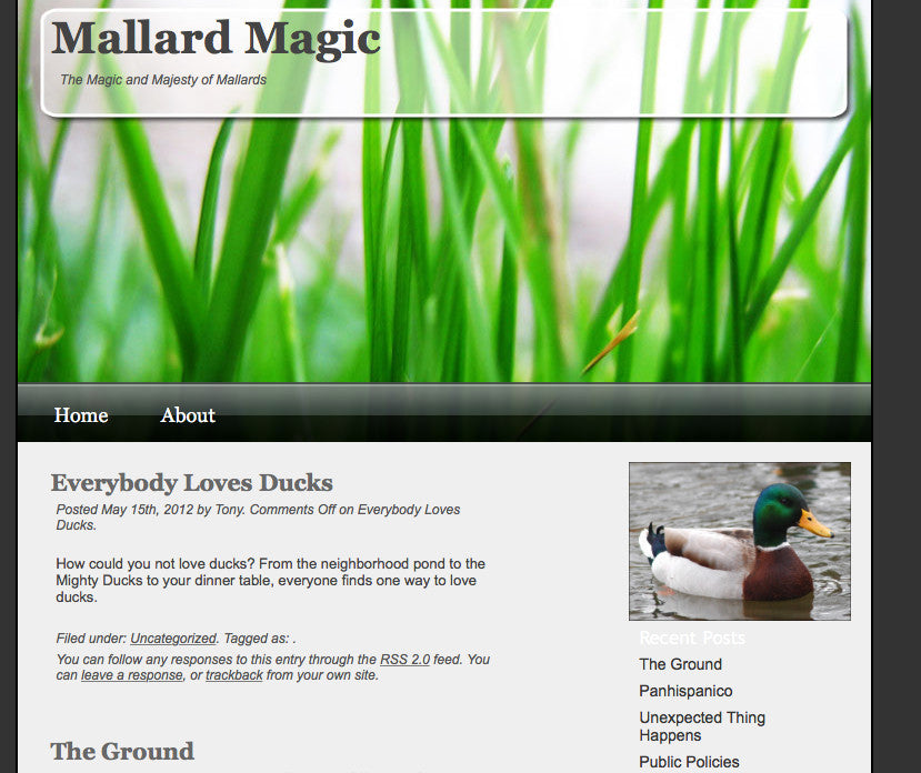 MULLARD  MAGIC- PLEASE MAKE SURE YOU BOOKMARK US CORRECTLY