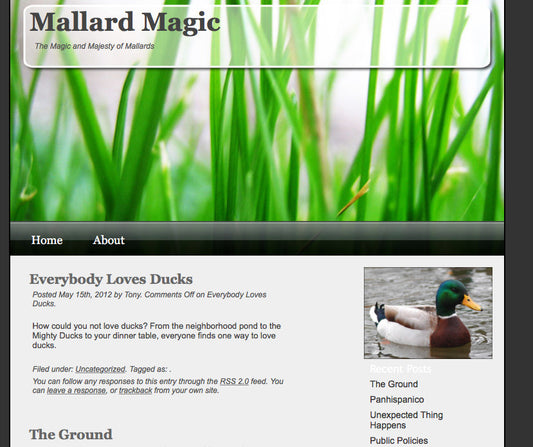 MULLARD  MAGIC- PLEASE MAKE SURE YOU BOOKMARK US CORRECTLY