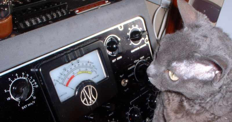 THE PURRFECT VALVE TREATMENT BY MULLARD MAGIC