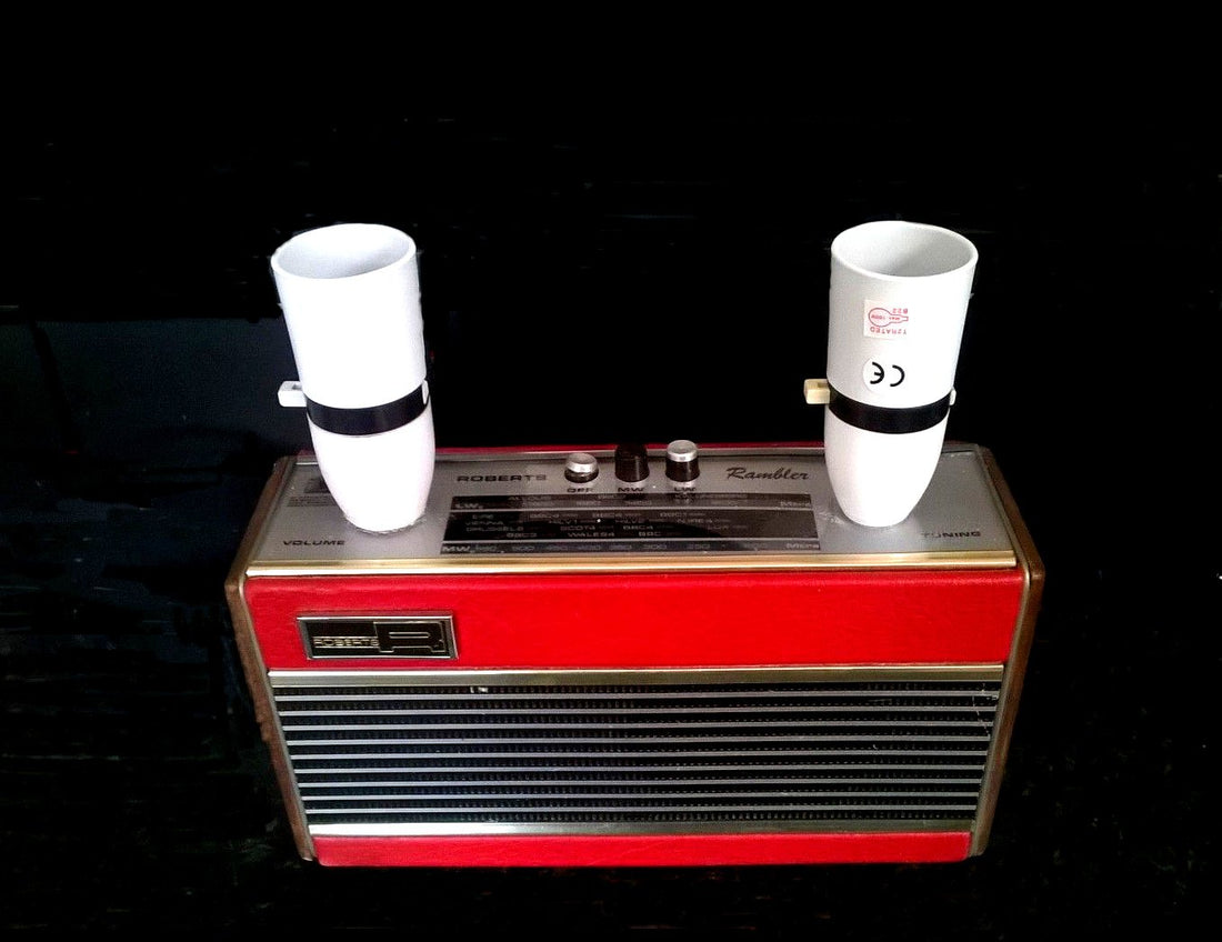 ROBERTS RADIO RAPE - MONEY FOR NOTHING INDEED