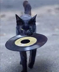 VINYL