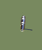 Lemo plug,  00-NIM- CAMAC,  FFA.00.250.YTAC27