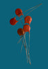 BAG OF 5X, CERAMIC DIPPED CAPACITOR, 33pF @ 1KV WKG