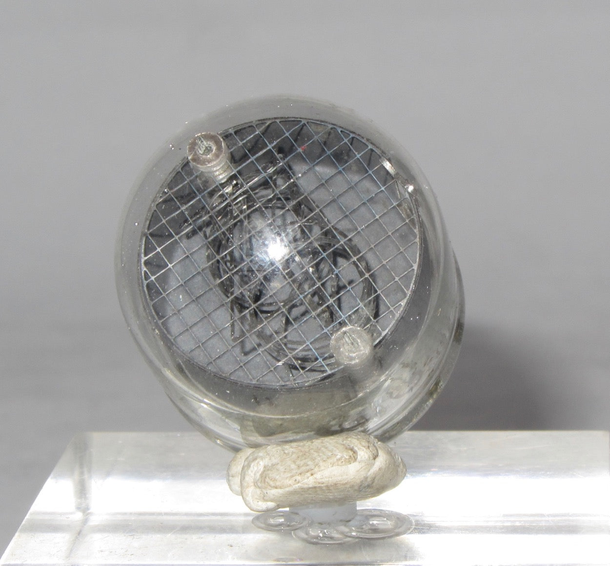 8037, B-5031, 15.5mm,Nixie, numeric tube, manufactured by Burroughs