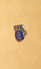 ELECTRONIC INSTRUMENTS LTD, EIL, KENT, CHROME & ENAMEL BADGE, FROM pH METER, 12 X 10mm SIZE, BOLTED STUD MOUNT